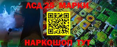 индика Усть-Илимск