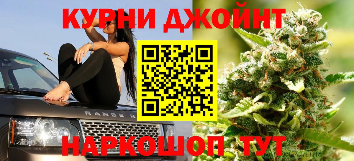 Канабис сатива Назарово